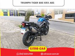 TRIUMPH - TIGER 800 - 2017/2017 - Azul - R$ 47.900,00